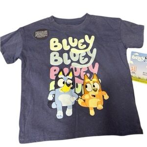 NWT Bluey T-Shirt – Toddler Size 4T